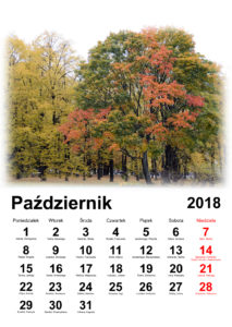 Read more about the article Kalendarz Pazdziernik 2018 – do druku