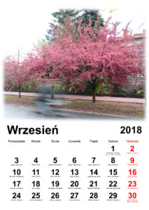 Read more about the article Kalendarz wrzesień 2018 – do druku