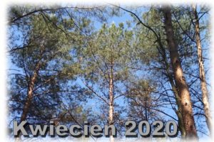 Read more about the article Kalendarz kwiecień 2020