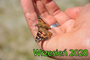 Read more about the article Kalendarz wrzesień 2020