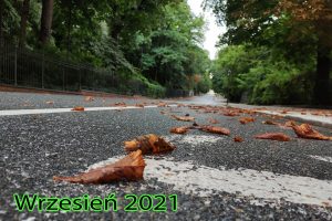 Read more about the article Kalendarz wrzesień 2021 – do druku