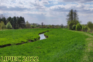 Read more about the article Kalendarz lipiec 2022 – do druku