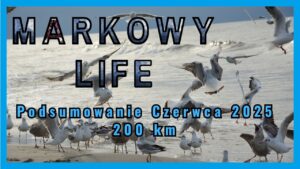 Read more about the article Biegowe podsumowanie czerwca 2025