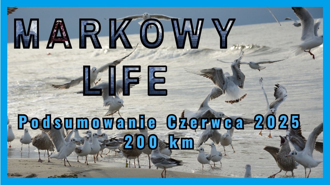 Read more about the article Biegowe podsumowanie czerwca 2025