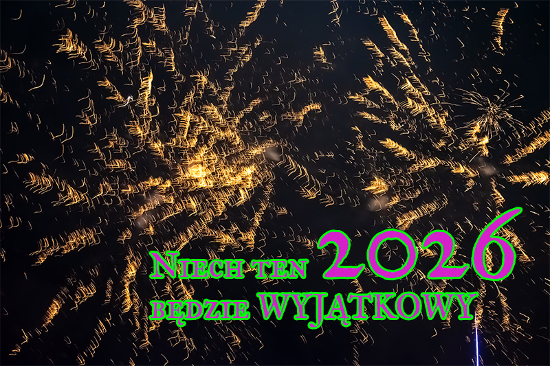 Read more about the article NOWY 2026 ROK